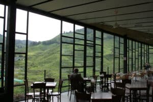 Boh Tea Plantation Cafe in Cameron Highlands, Malaysia