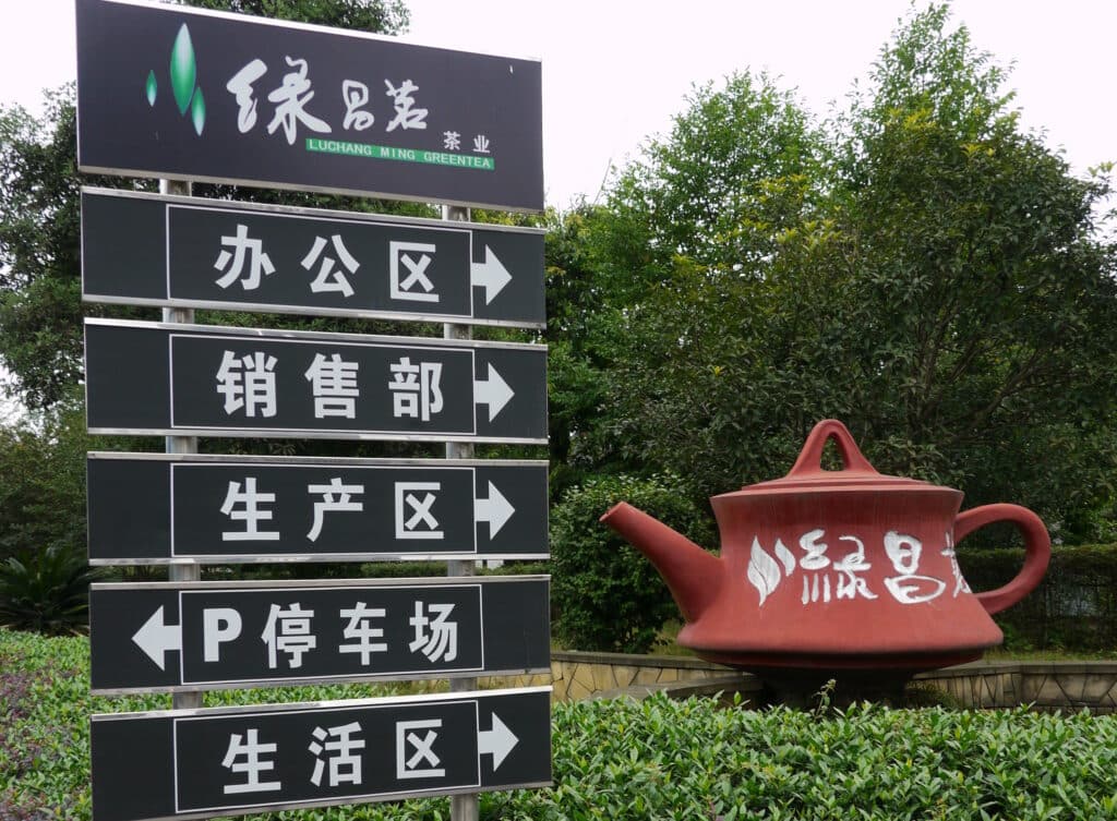 Understanding Chinese Tea Harvest