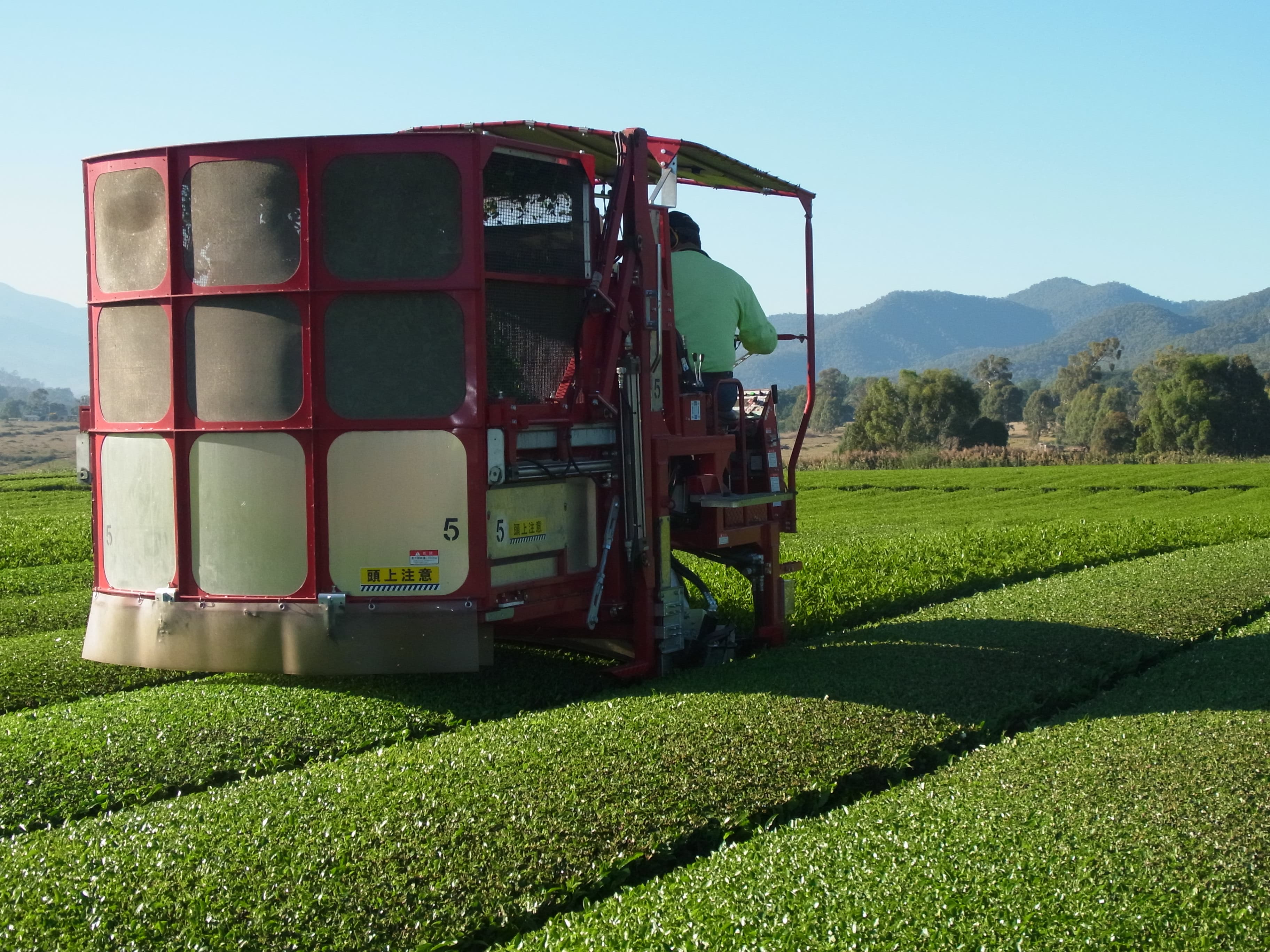 tea harvester machine