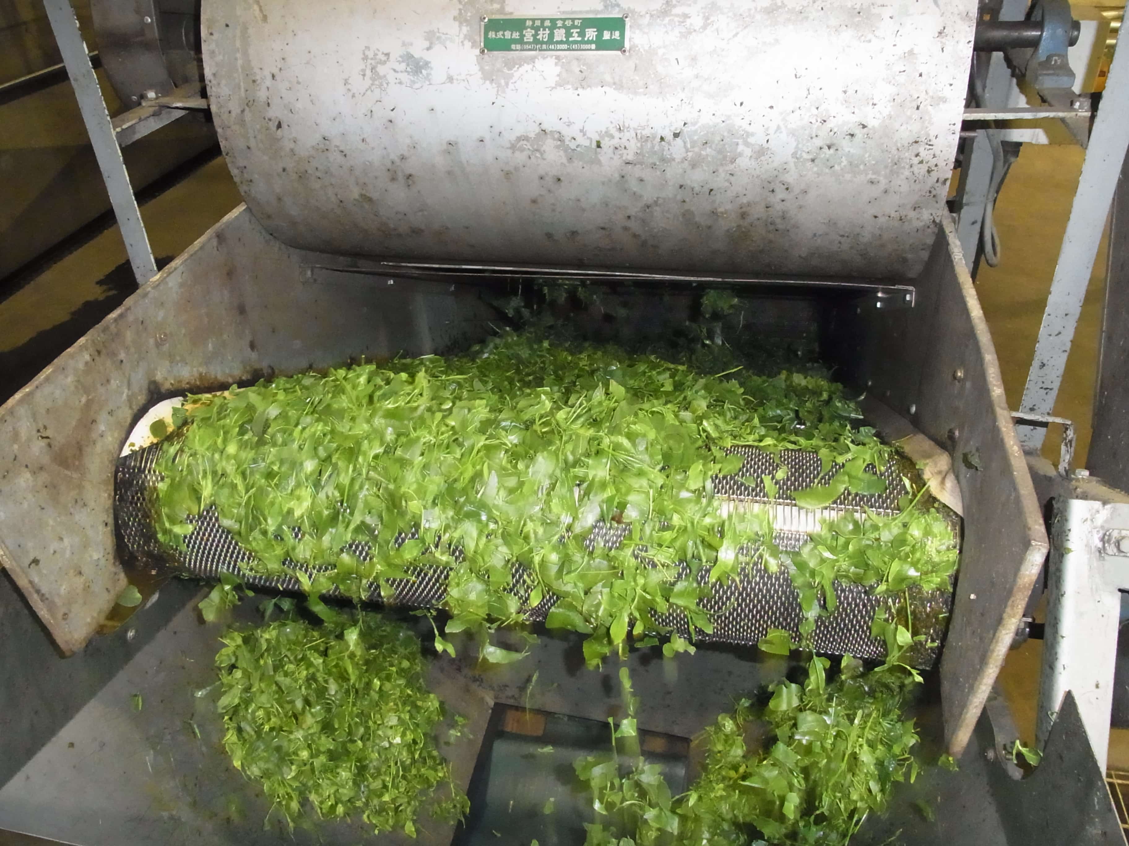 tea leaves being fed into steamer