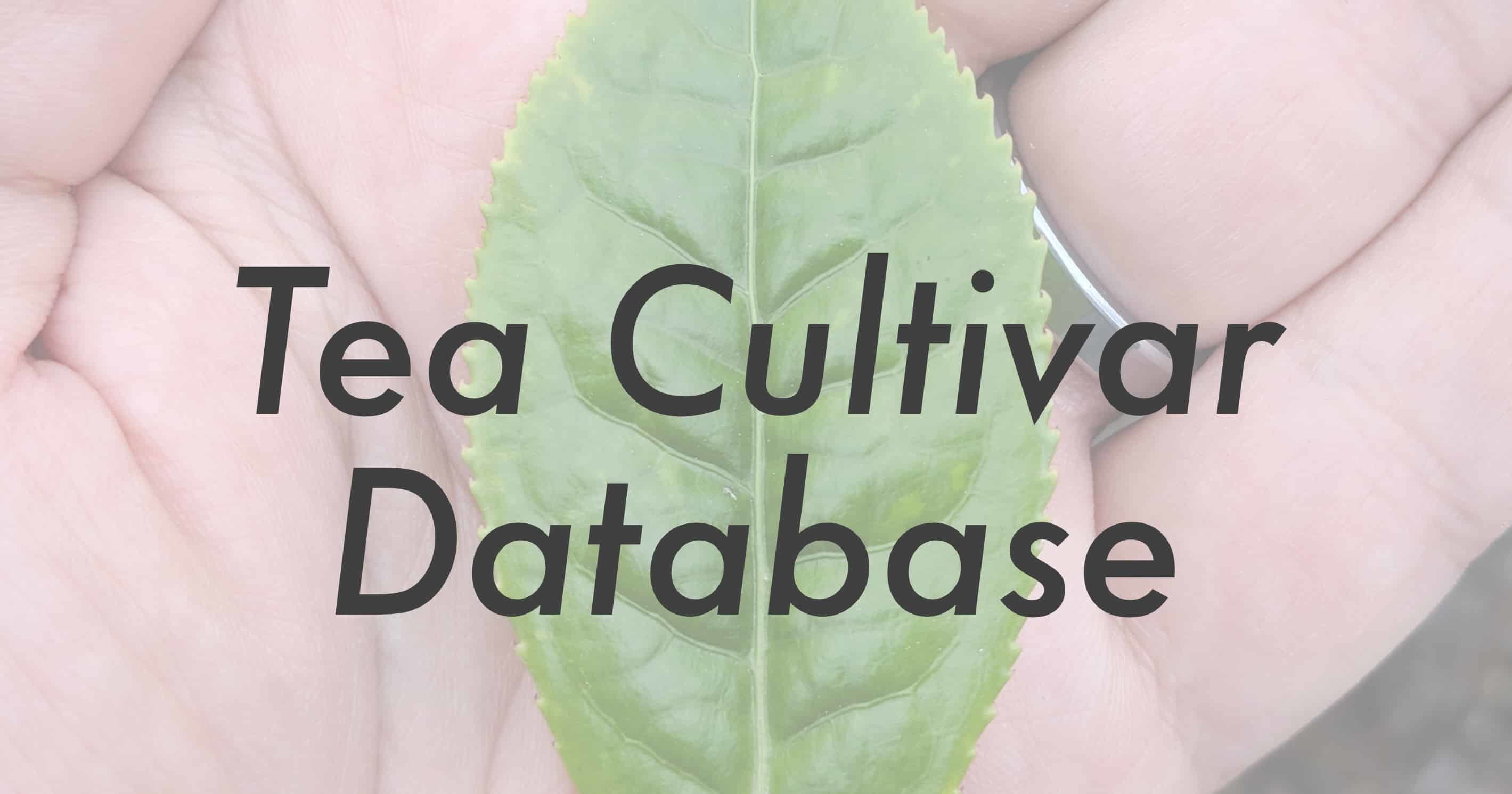 Tea Cultivar Database · Tea Epicure · Tea Epicure
